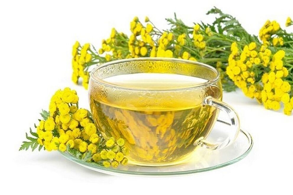 wormwood decoction for parasites
